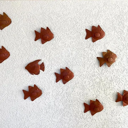 호텔 Bellevue Cap D'agde 3*